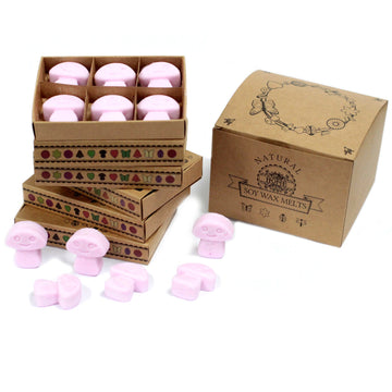 Box of 6 Wax Melts - Ylang Ylang - Hira Online
